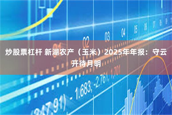 炒股票杠杆 新湖农产（玉米）2025年年报：守云开待月明