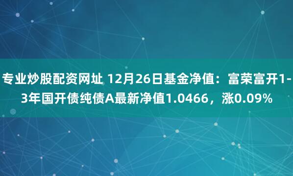 专业炒股配资网址 12月26日基金净值：富荣富开1-3年国开债纯债A最新净值1.0466，涨0.09%