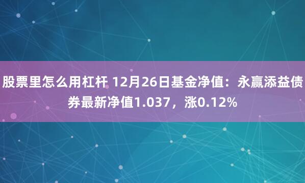 股票里怎么用杠杆 12月26日基金净值：永赢添益债券最新净值1.037，涨0.12%