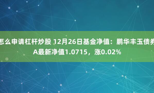 怎么申请杠杆炒股 12月26日基金净值：鹏华丰玉债券A最新净值1.0715，涨0.02%